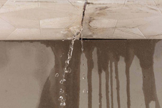 Professional Structural Drying technician working in Lindsey, OH